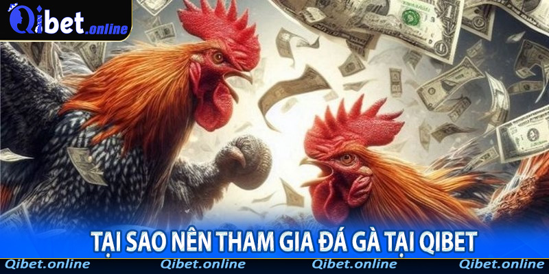 Chiến lược đặt cược thông minh