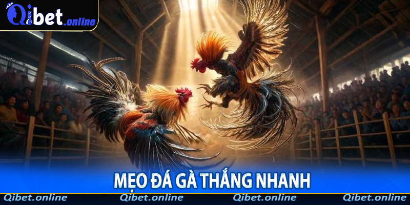 Mẹo Đá Gà Thắng Nhanh