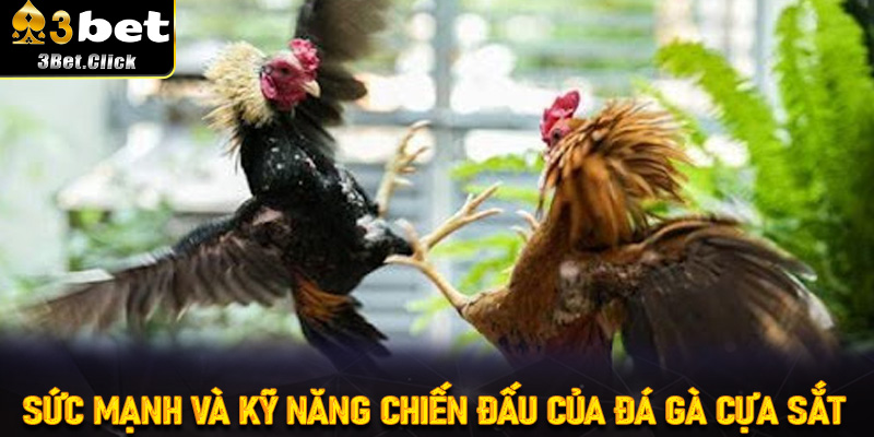 Sức mạnh và kỹ năng chiến đấu của Đá Gà Cựa Sắt